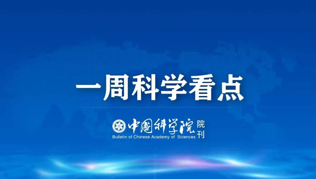 气候变化新应对，应对全球气候挑战的新策略与前景展望，气候变化新策略展望，应对全球气候挑战的未来之路