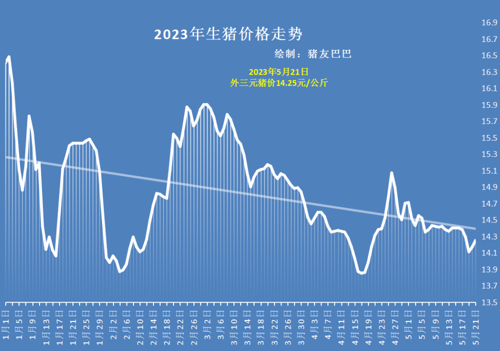 最新生猪价格行情走势深度解析