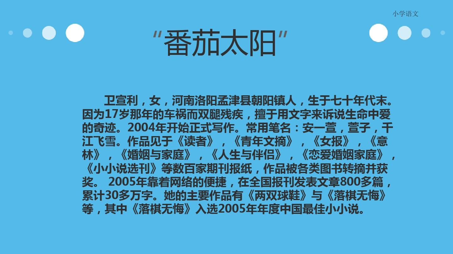 番茄太阳PPT免费下载与相关内容深度解析